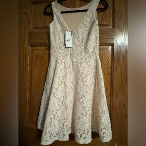 Never worn pink cream lace dress with tags!